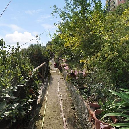 Villa Lardarina Corniglia Dış mekan fotoğraf