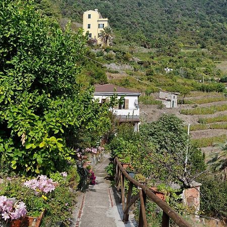 Villa Lardarina Corniglia Dış mekan fotoğraf