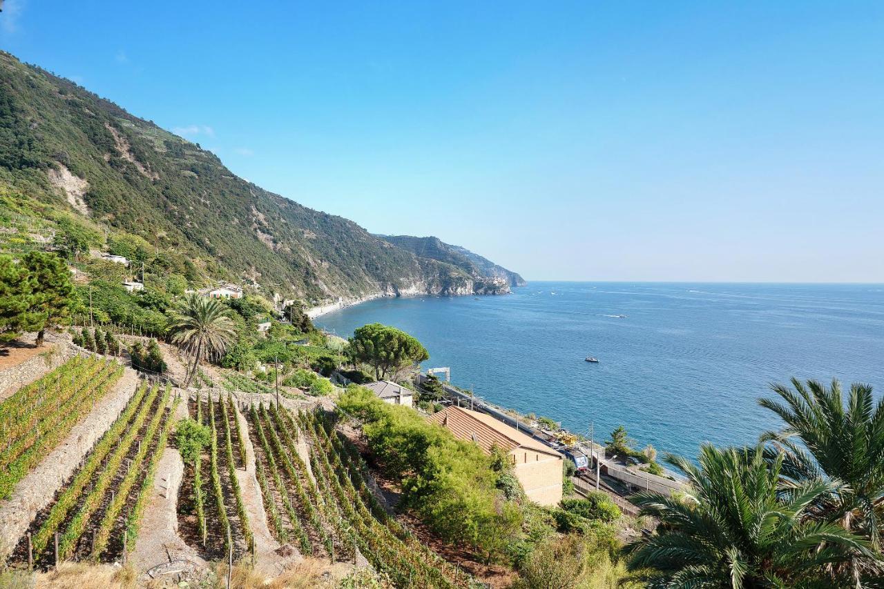 Villa Lardarina Corniglia Dış mekan fotoğraf