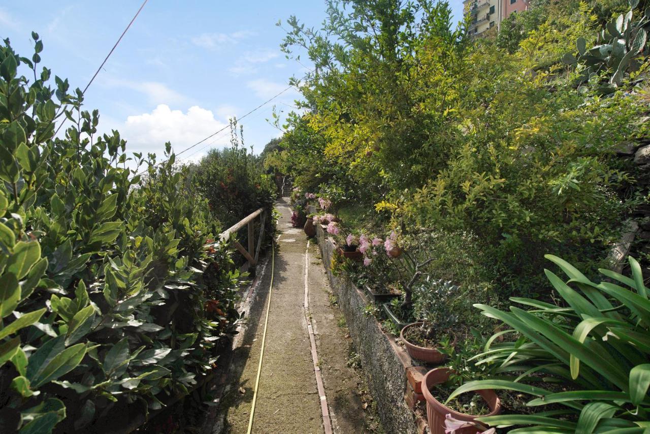 Villa Lardarina Corniglia Dış mekan fotoğraf