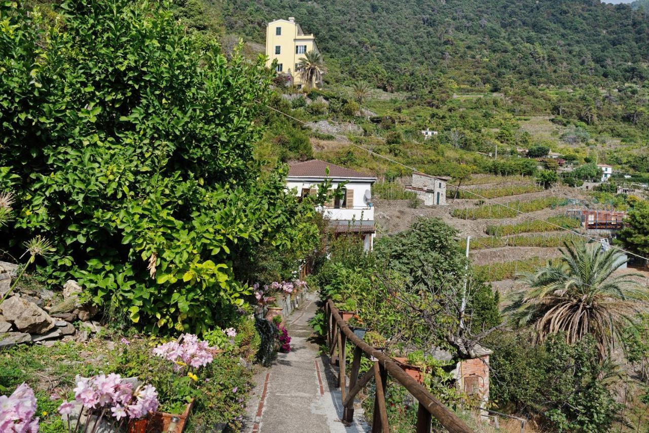 Villa Lardarina Corniglia Dış mekan fotoğraf